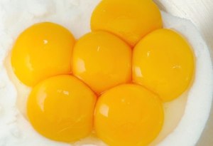 kuning telur