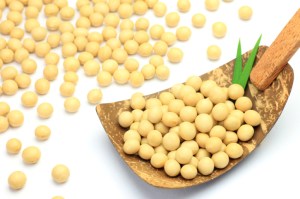 soybean