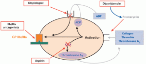 Anti platelet