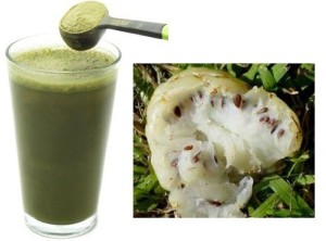 jus mengkudu