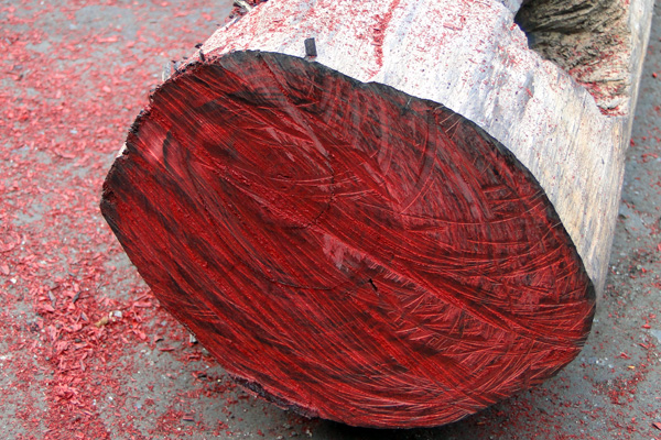 Rose wood