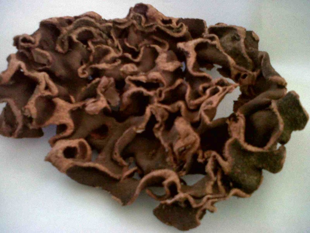 Obat Sakit Jantung Alami Favorit Masyarakat Indonesia