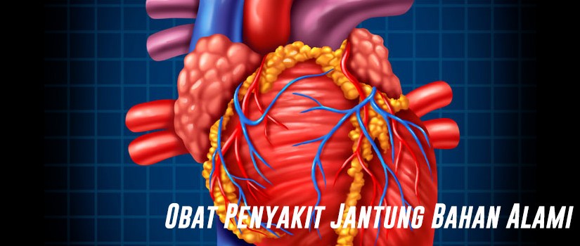 4 Obat Jantung Alami yang Efektif Penyembuhannya