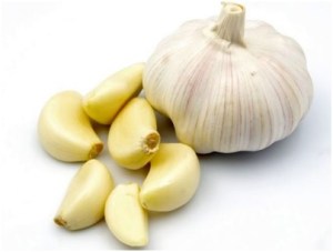 bawang putih