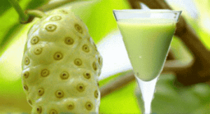 jus mengkudu