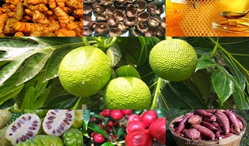 Obat Jantung Ramuan Tradisional