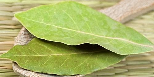 Obat Herbal Jantung di Lingkungan Sekitar Kita