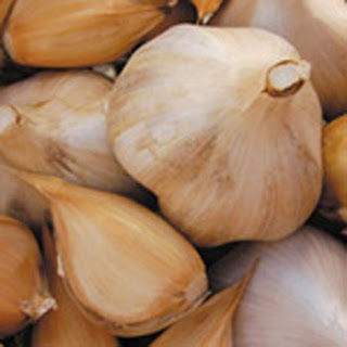 33. obat herbal untuk jantung