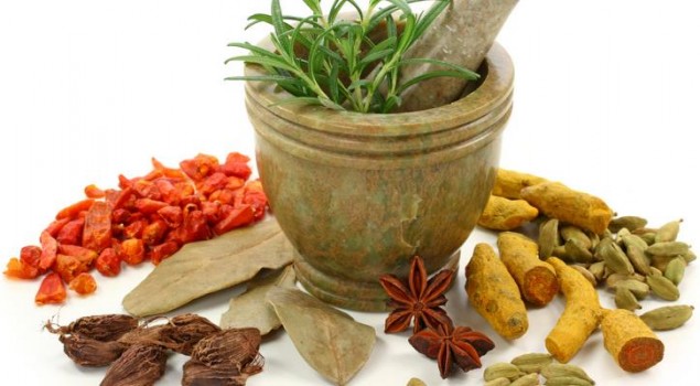 Obat Jantung Herbal yang Ampuh dan Mudah Ditemukan