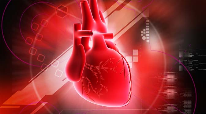 Informasi Pengertian Penyakit Jantung Koroner
